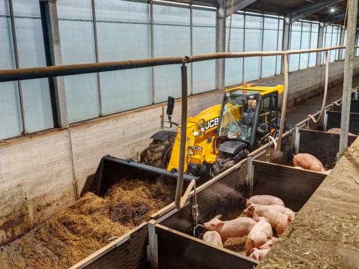 JCB Teleskoplader Agri Super im Feld